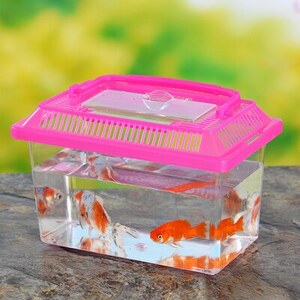 Fish box