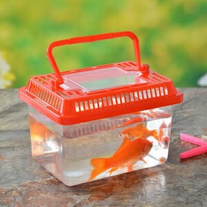 Fish box