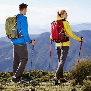 Climbing stick